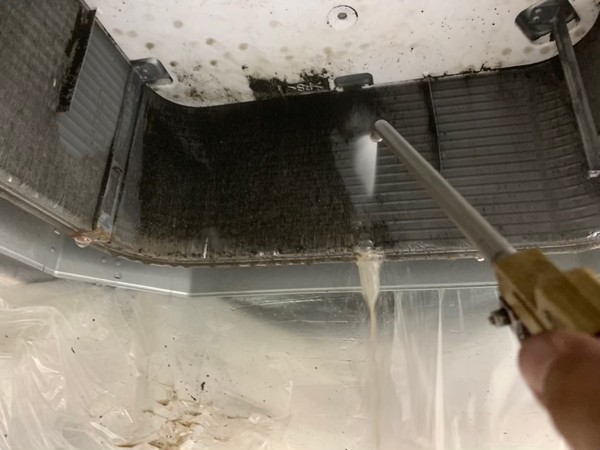 【4月】ウイルス対策・除菌